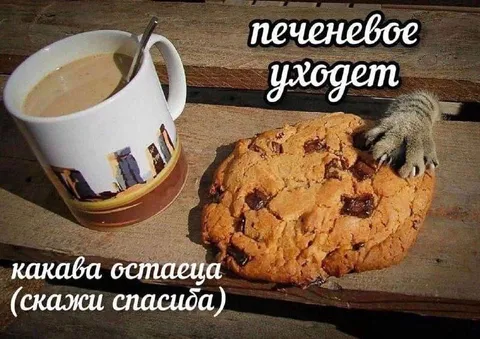 Печеневое уходит