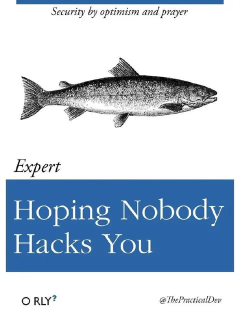 Expert Hoping Nobody Hacks You