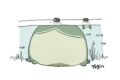 Лягушки выглядывают из воды