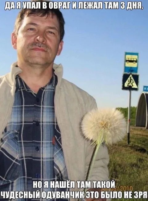 Одуванчик в овраге