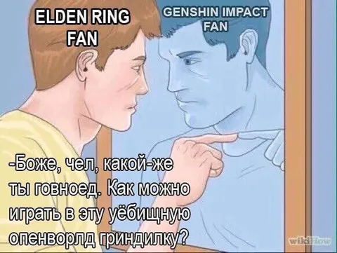 Фанат Elden Ring ругает Genshin Impact