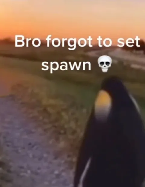 Bro Forgot to Set Spawn