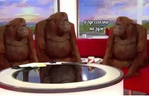 А где ссылка на Zoom