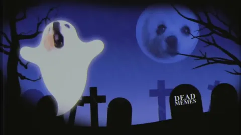 Ghost Dog Battles Dead Memes