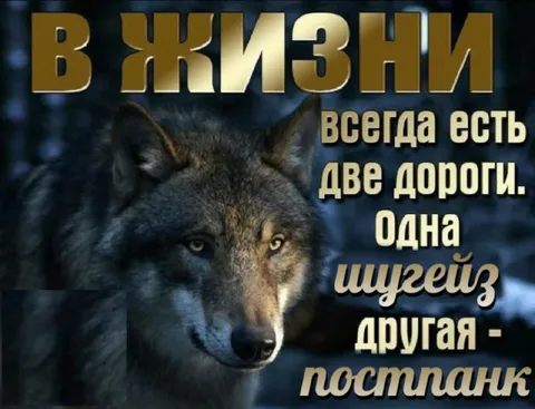 В жизни две дороги