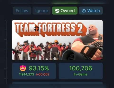 Team Fortress 2 Is Owned