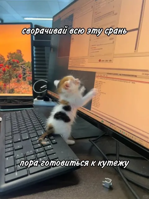 Котёнок чинит компьютер