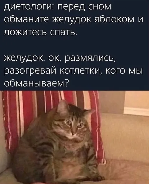 Желудок раскрыл обман