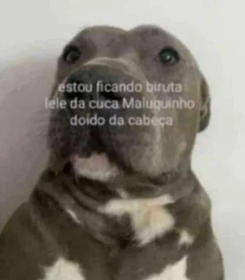 Estou ficando biruta