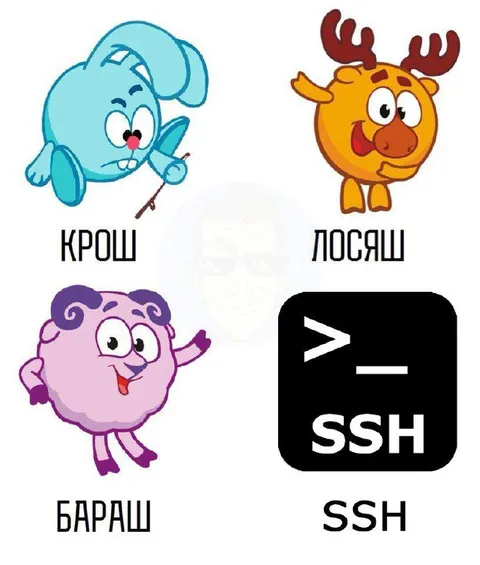 Смешарики объясняют SSH