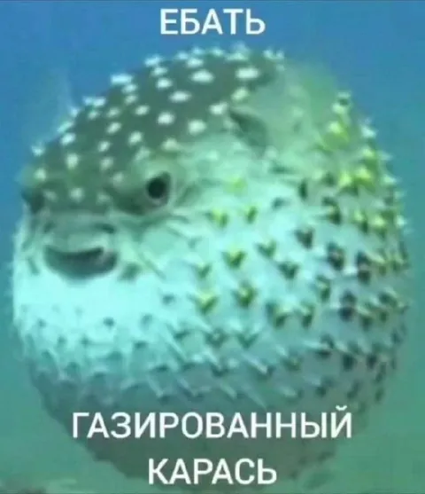 Газированный карась