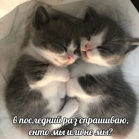 Это мы или не мы
