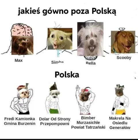 Polska kontra zagranica