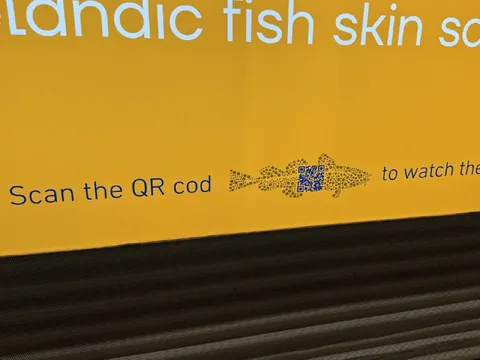QR Code Fish Sign