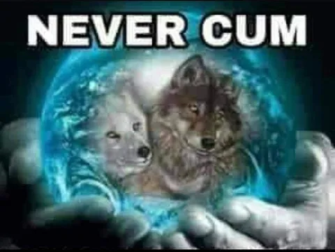 Never Cum Cat Meme