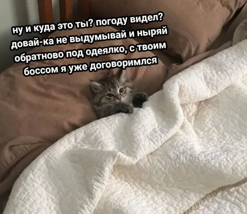 Ныряй обратно под одеялко