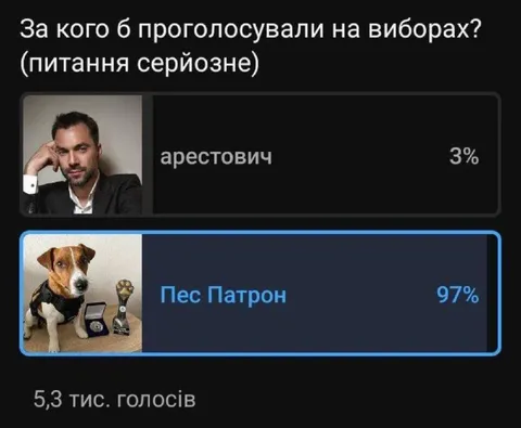 За кого проголосували на виборах