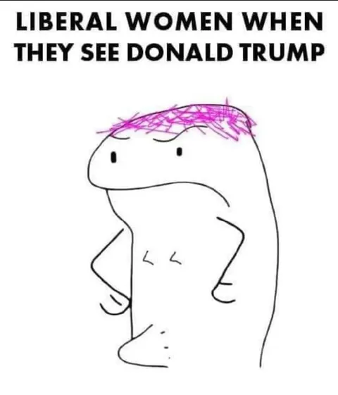 Liberal Women See Donald Trump