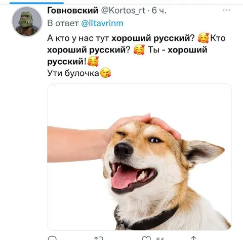 Хороший русский пёс