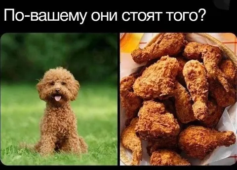 Они стоят того?