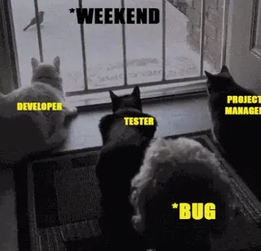 Developer Tester Project Manager Weekend