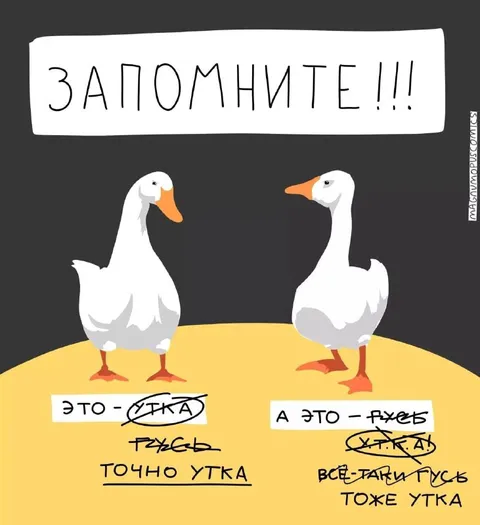 Запомните: утка и гусь