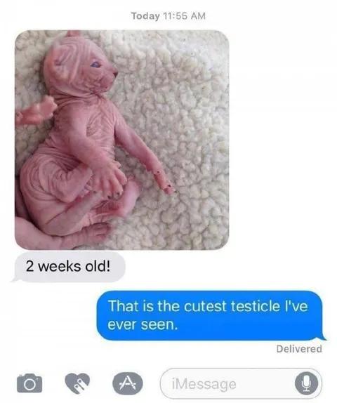 Cutest Testicle Ever Seen
