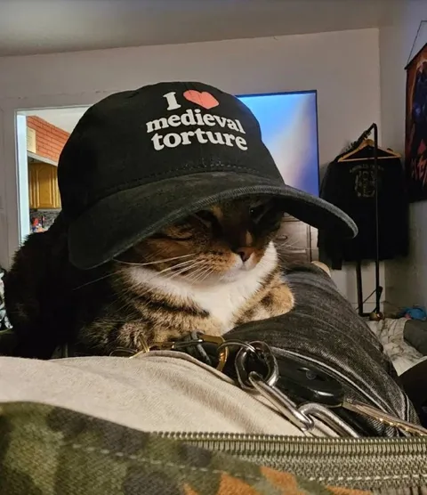 Cat Loves Medieval Torture