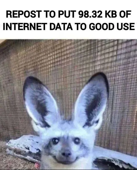 98.32 KB of Internet Data