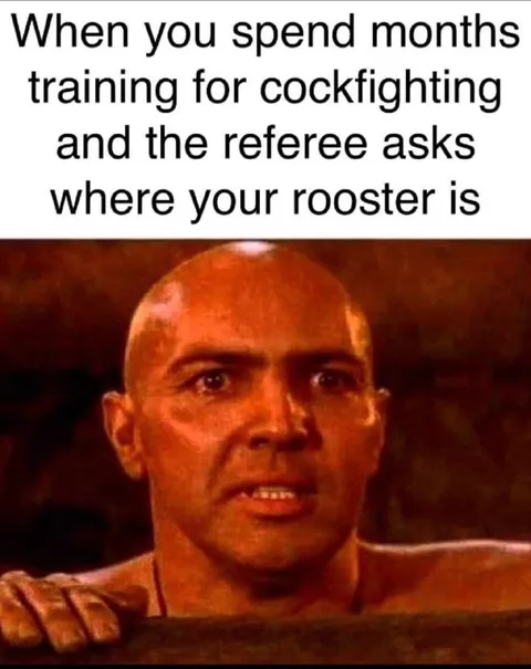 Where Is Your Rooster