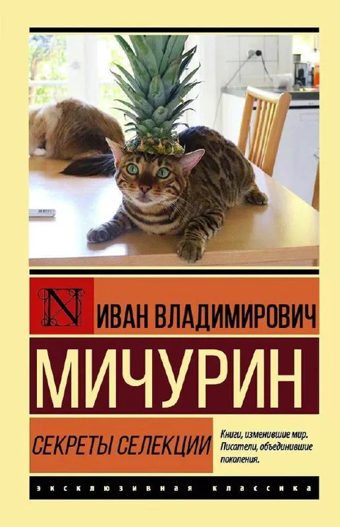 Кот-мичурин с ананасом