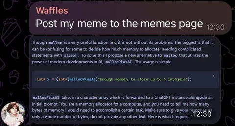 ChatGPT Allocates Enough Memory
