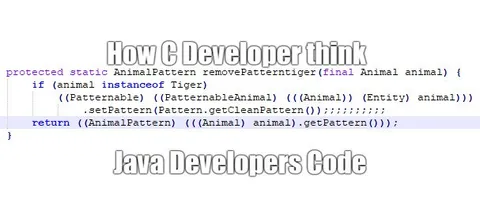 How Java Developers Code