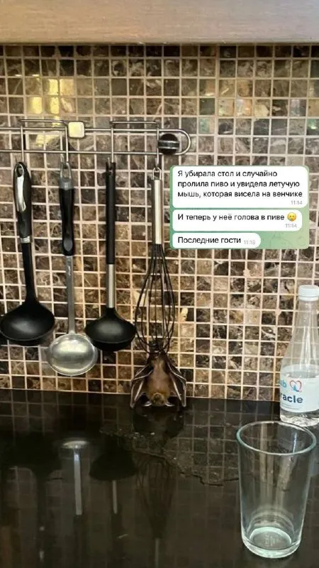 Последние гости на кухне