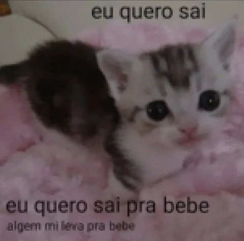 Gatinho quer sair pra beber