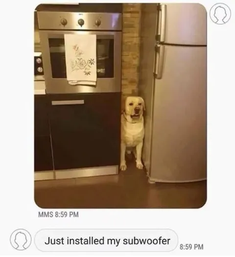 Just Installed My Subwoofer