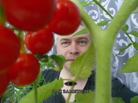 Вас заметили ли