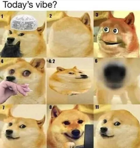 Today's Vibe Doge Grid