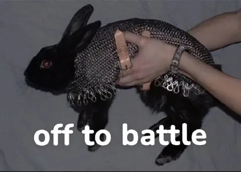 Off to Battle Rabbit