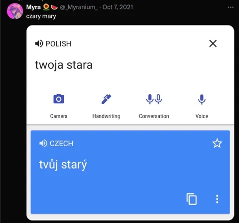 Twoja stara po czesku