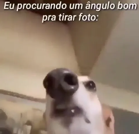 Procurando o melhor ângulo