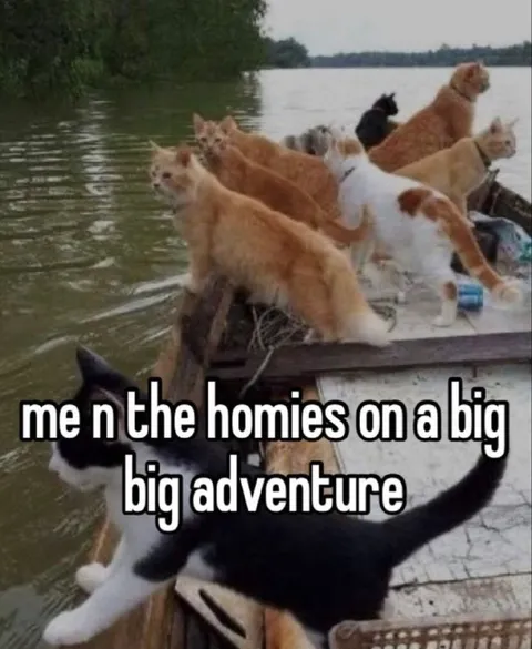 Me n the Homies Adventure