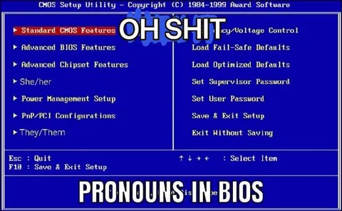 Pronouns in BIOS