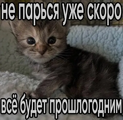 Всё будет прошлогодним