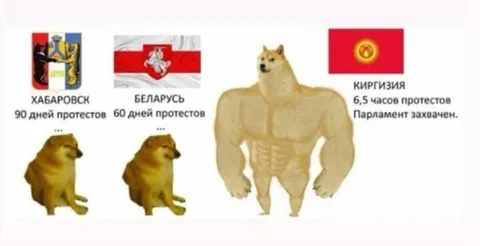 Киргизия за 6,5 часов протестов