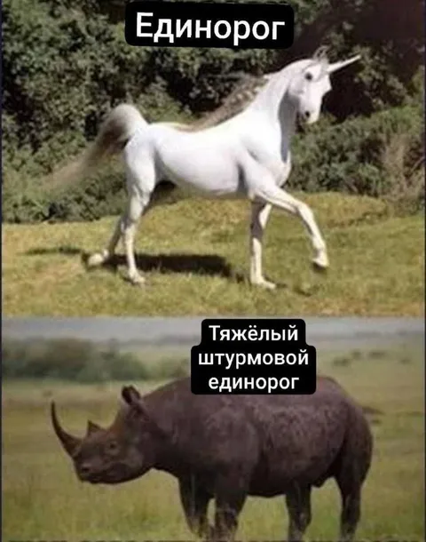 Тяжёлый штурмовой единорог