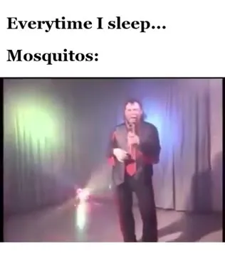Mosquitoes Every Time I Sleep