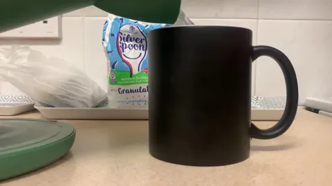 Cat Mug Surprise Reveal