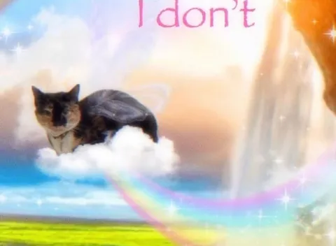 I Don't Want to Go