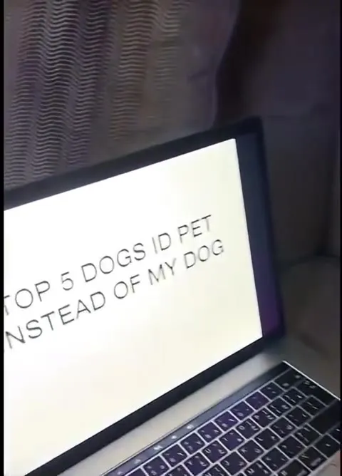 Top 5 Dogs I Pet Instead